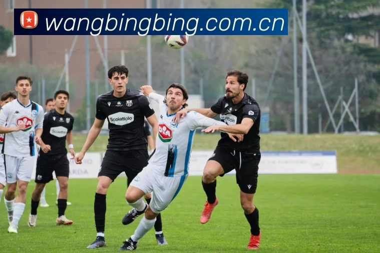 米兰app登录官网APP 体育赛事宣传图